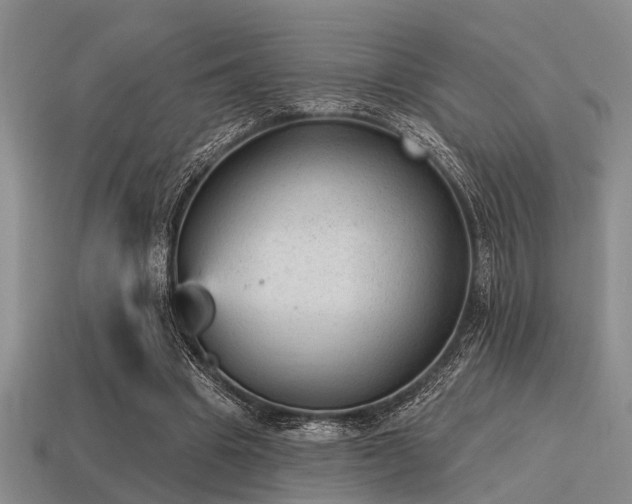 X0000115610441200911101430