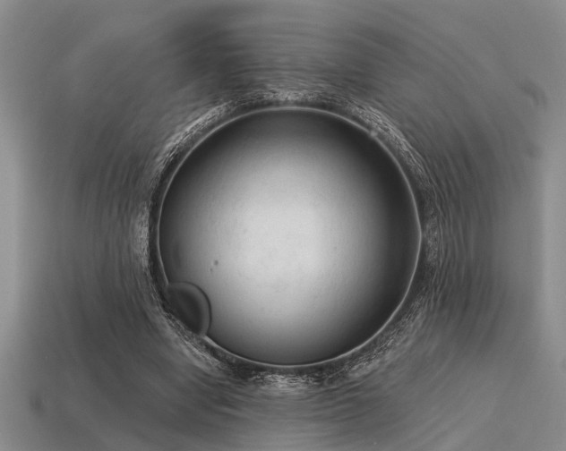 X0000115610442200911101430