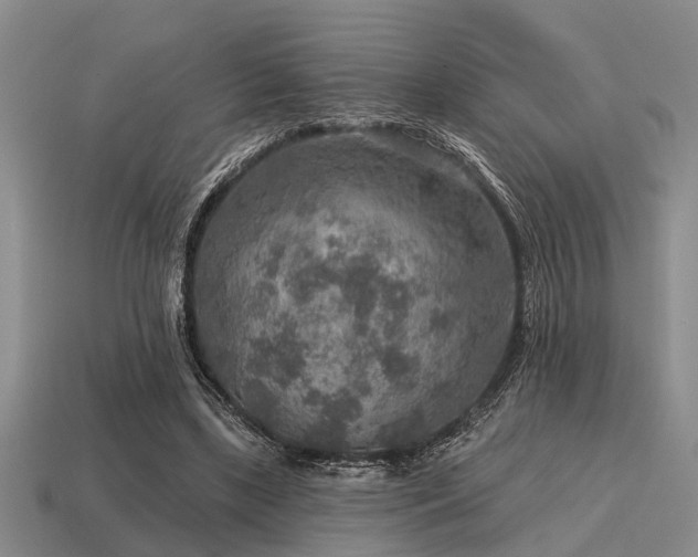 X0000115610443200911101430