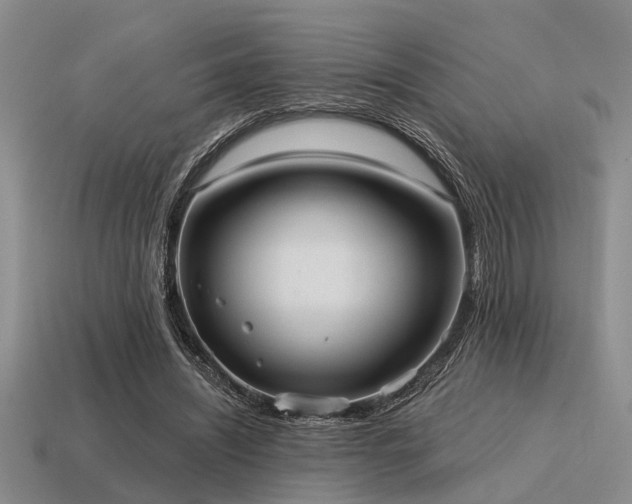 X0000115610444200911101430