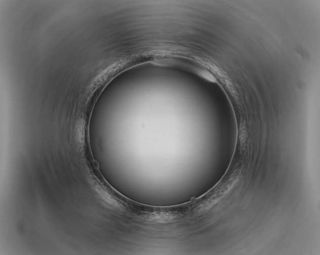 X0000115610445200911101430