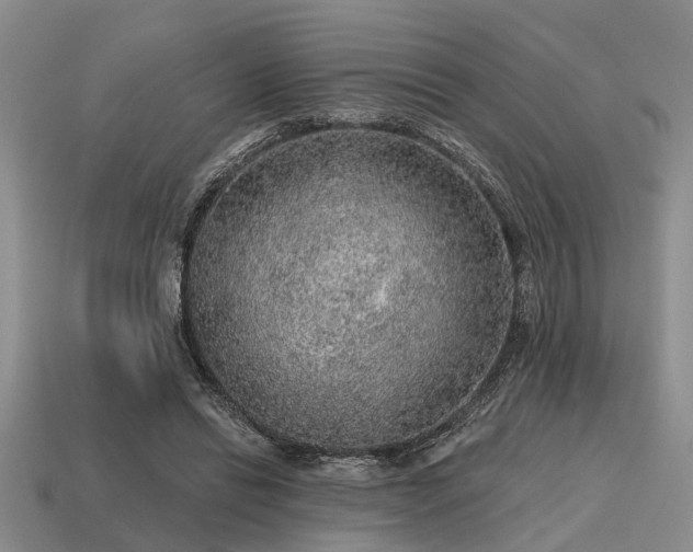 X0000115610446200911101430