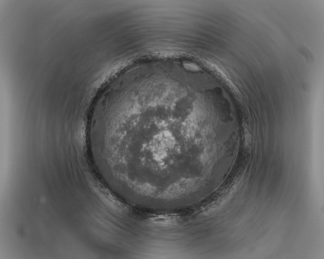 X0000115610447200911101430