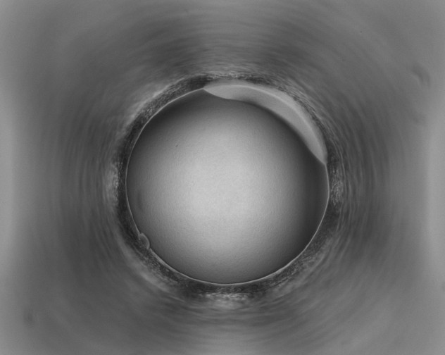 X0000115610448200911101430