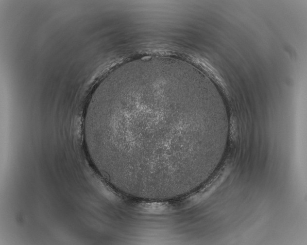 X0000115610449200911101430