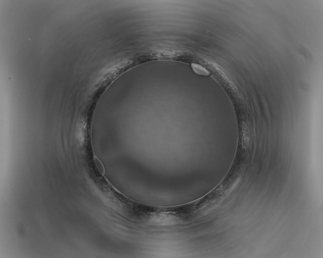 X0000115610451200911101430
