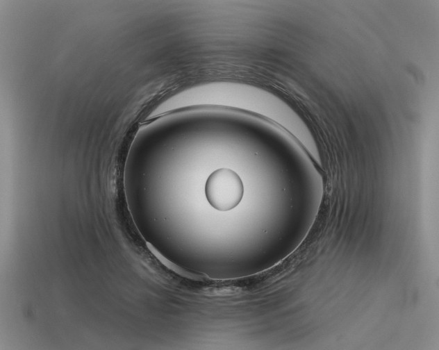 X0000115610452200911101430