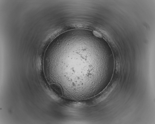 X0000115610453200911101430