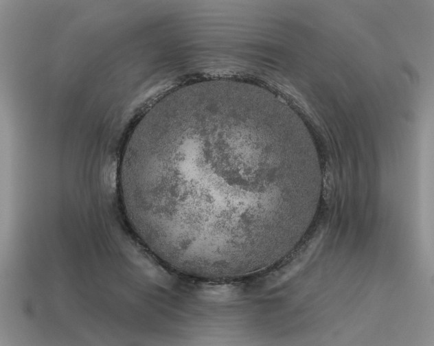 X0000115610454200911101430