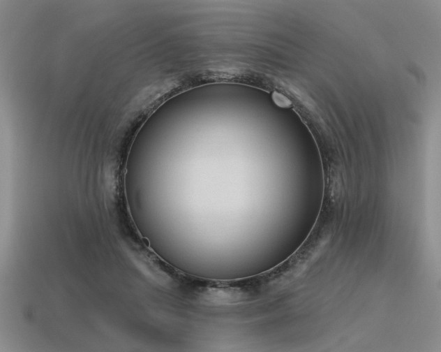 X0000115610455200911101430