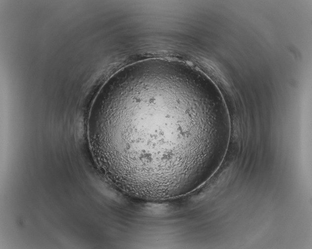 X0000115610457200911101430