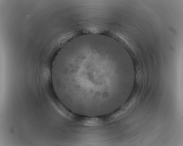 X0000115610459200911101430