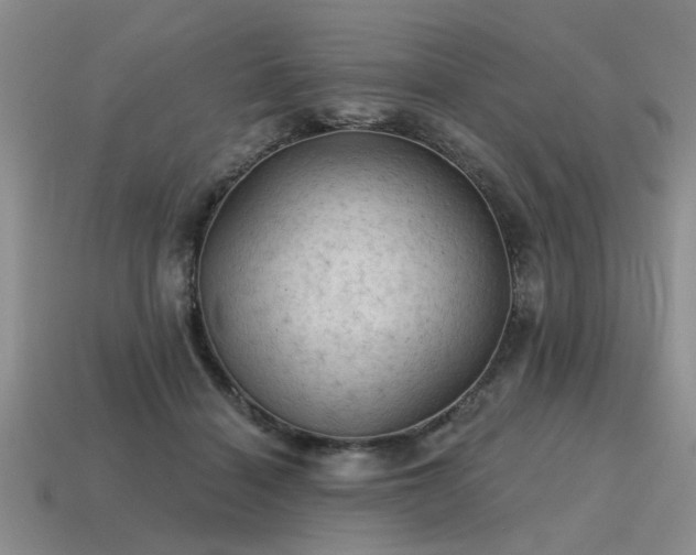X0000115610460200911101430