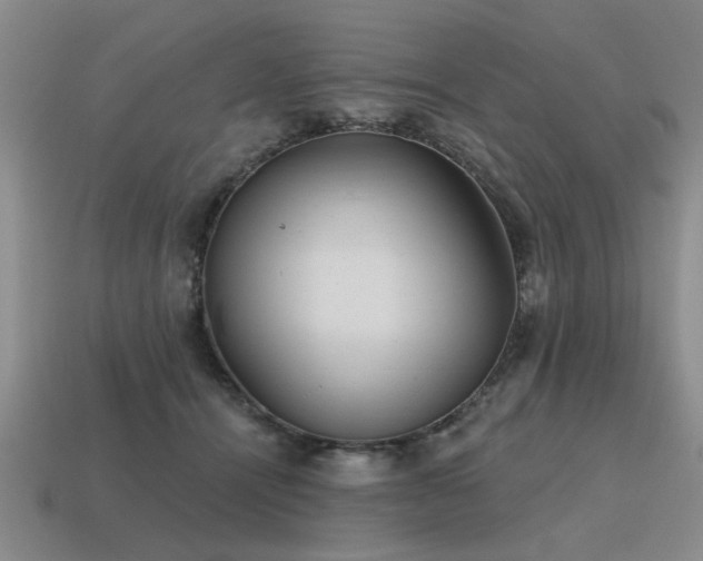 X0000115610464200911101430