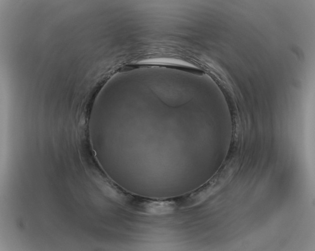 X0000115610465200911101430