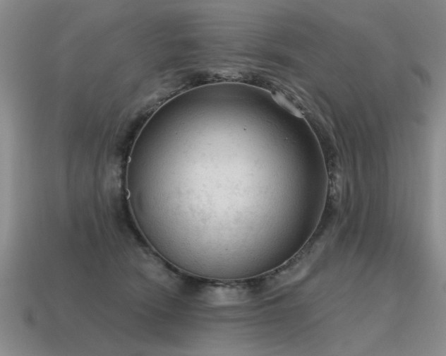X0000115610466200911101430