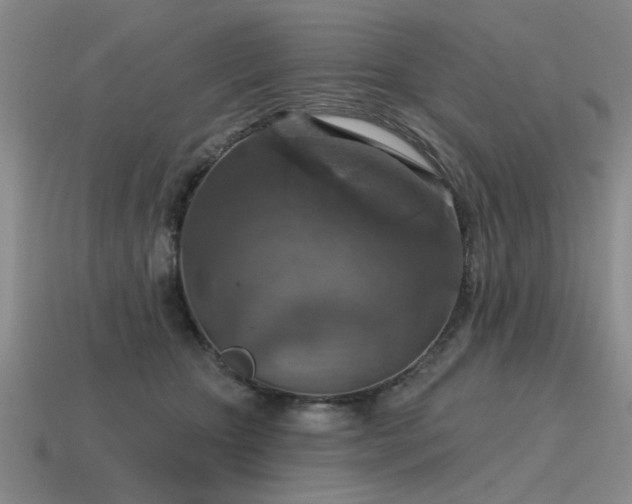X0000115610467200911101430