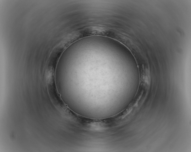X0000115610468200911101430
