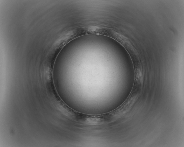 X0000115610470200911101431