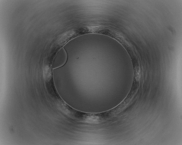 X0000115610471200911101431