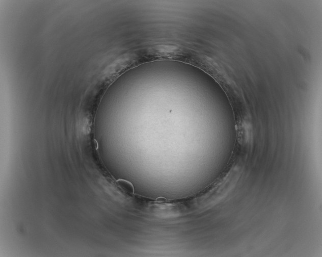 X0000115610472200911101431