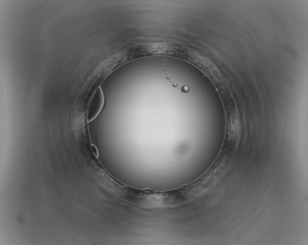 X0000115610473200911101431
