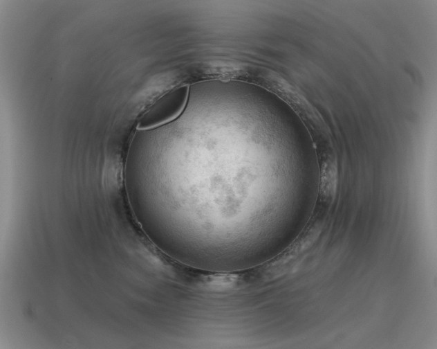 X0000115610474200911101431