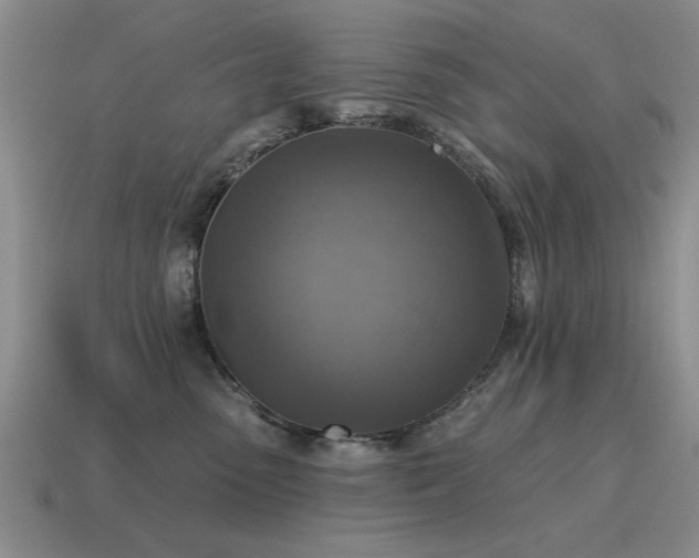 X0000115610475200911101431