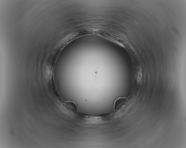 X0000115610476200911101431