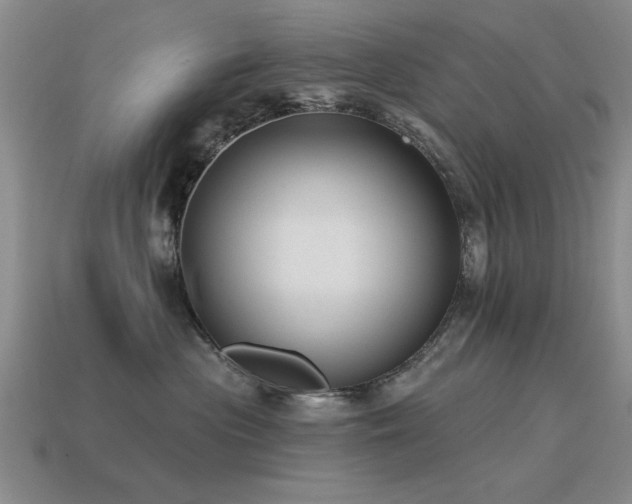 X0000115610477200911101431