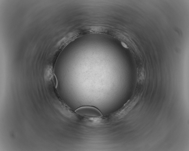 X0000115610478200911101431
