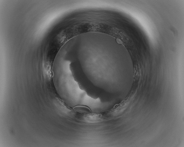 X0000115610479200911101431