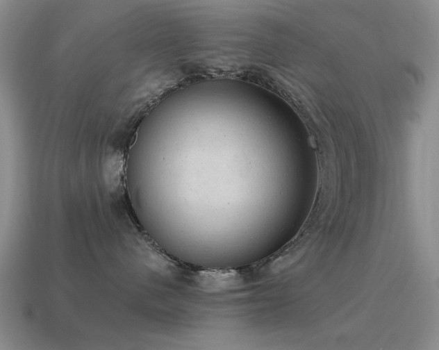X0000115610480200911101431