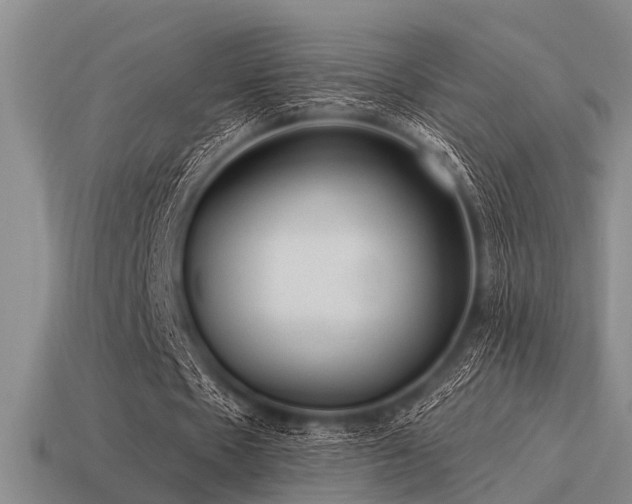 X0000115610481200911101430