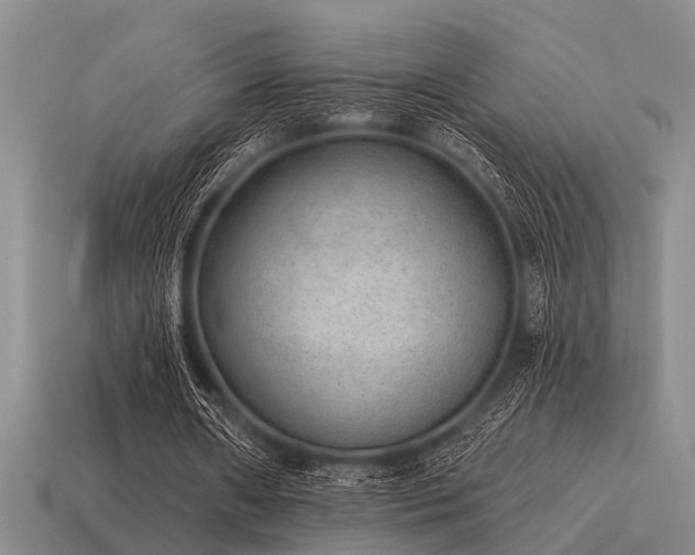 X0000115610482200911101430