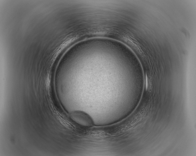 X0000115610483200911101430