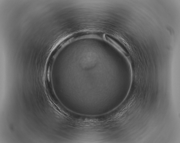 X0000115610484200911101430