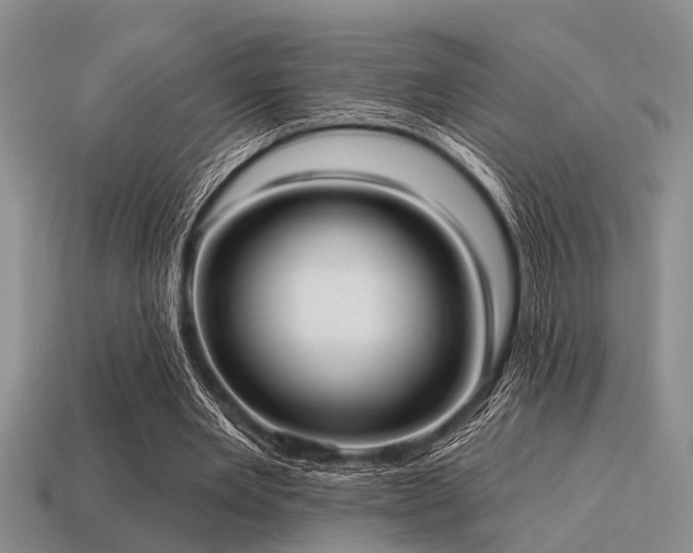 X0000115610485200911101430