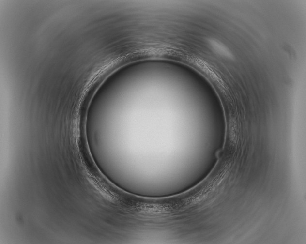 X0000115610486200911101430