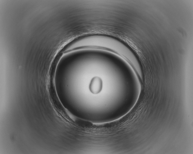 X0000115610488200911101430