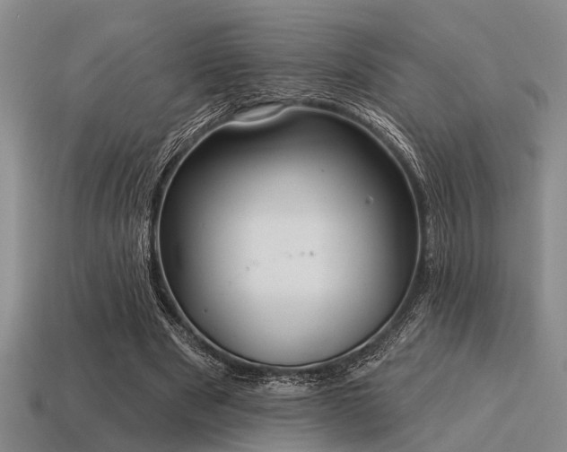 X0000115610489200911101430