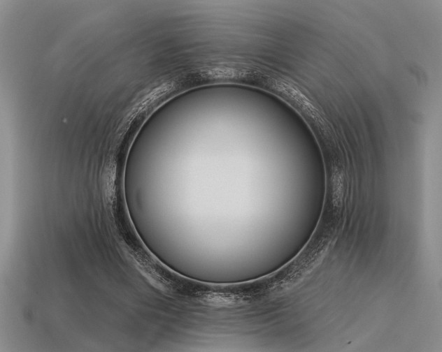 X0000115610490200911101430