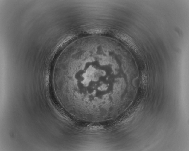 X0000115610491200911101430