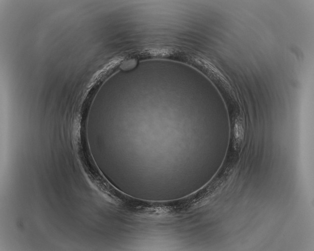 X0000115610492200911101430