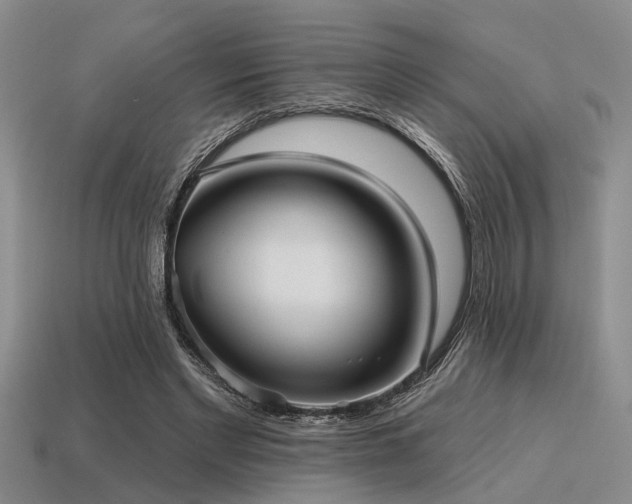 X0000115610493200911101430