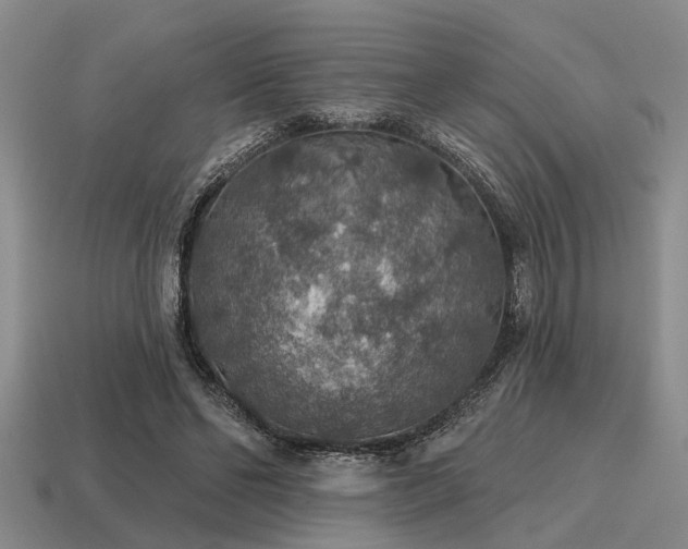 X0000115610494200911101430