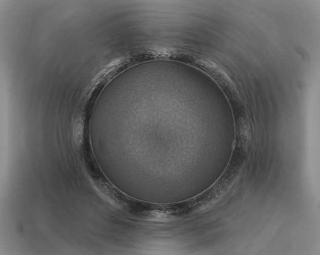 X0000115610496200911101430