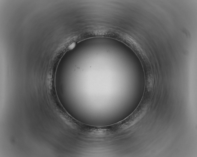 X0000115610497200911101430