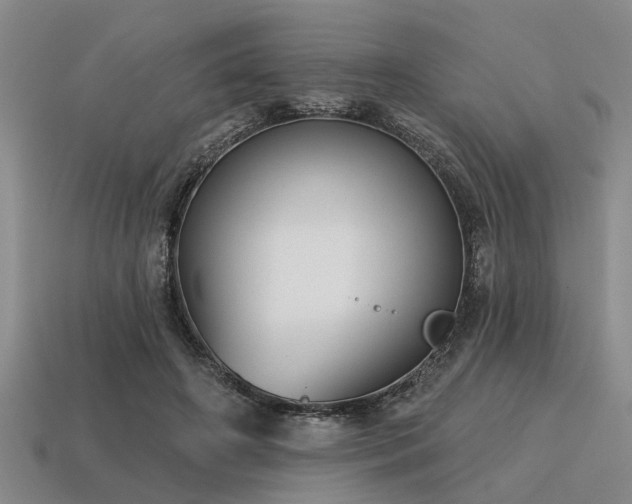X0000115610498200911101430