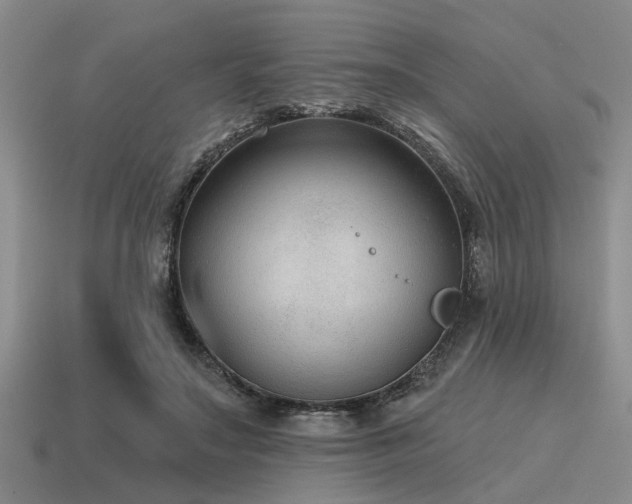 X0000115610499200911101430